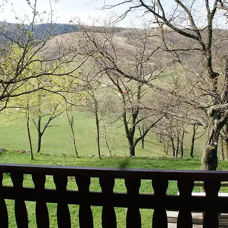 Apartment Gajevi