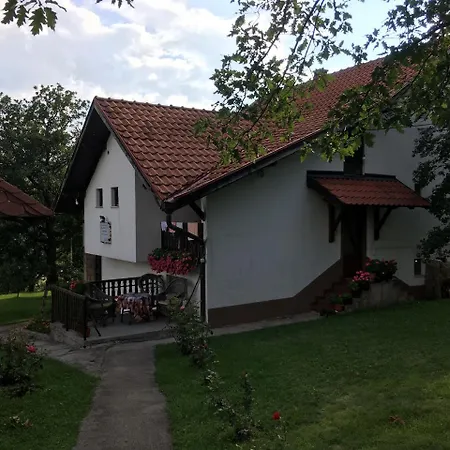 Gajevi *