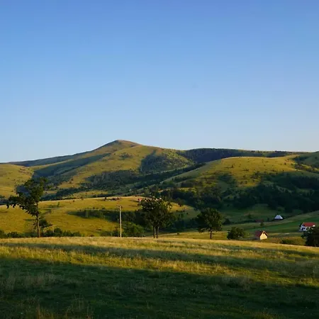 Апартаменты Gajevi Златибор