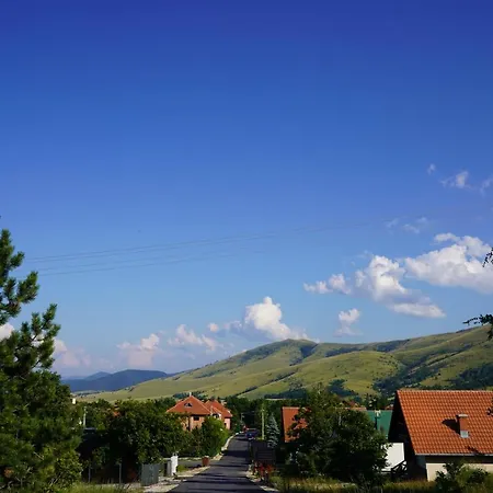 Gajevi