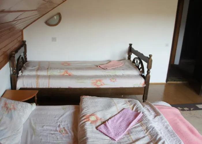 Διαμέρισμα Gajevi *